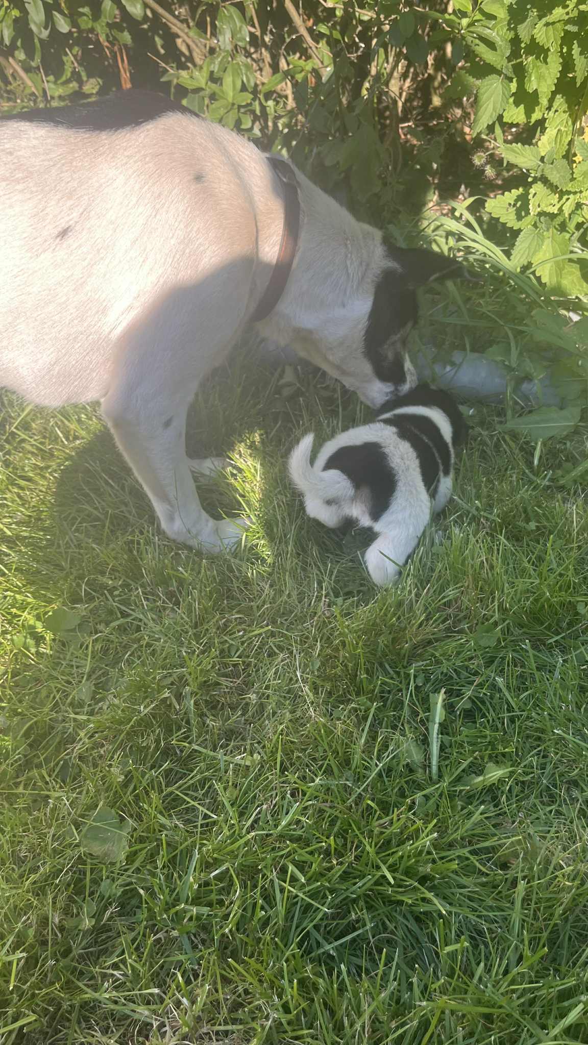 EdycjaProduktuProsta